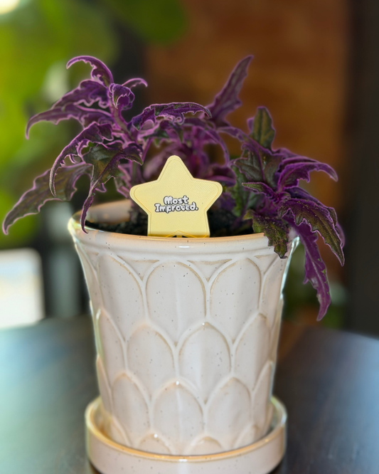 Superlative Plicks for Plants