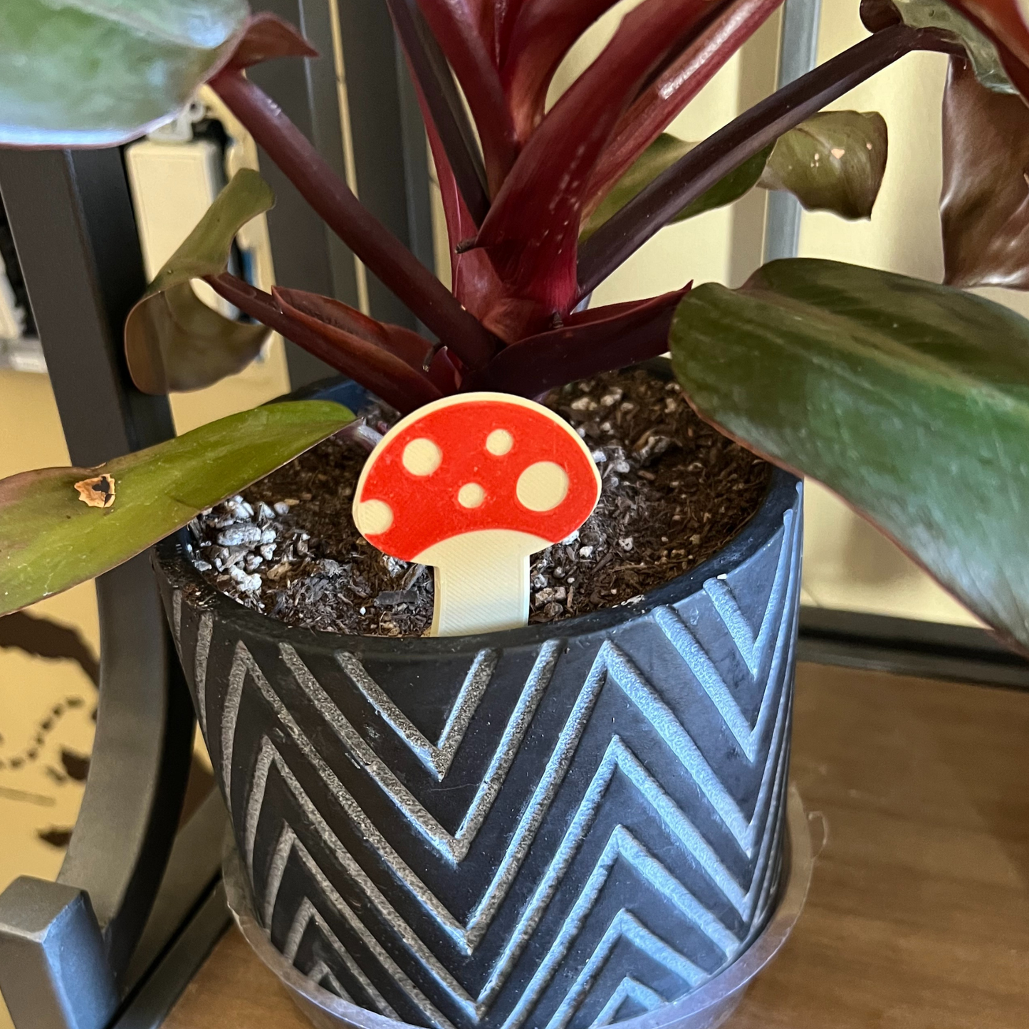 Mushroom Plick (5 Pack)