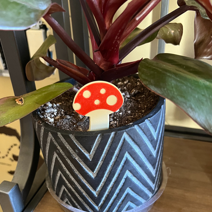 Mushroom Plick (5 Pack)