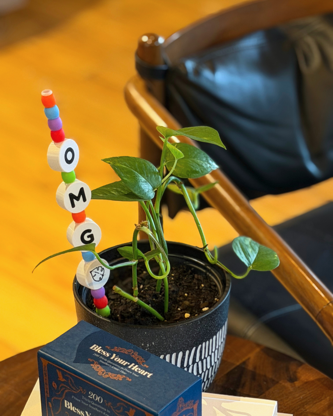 OMG Plant Kandi