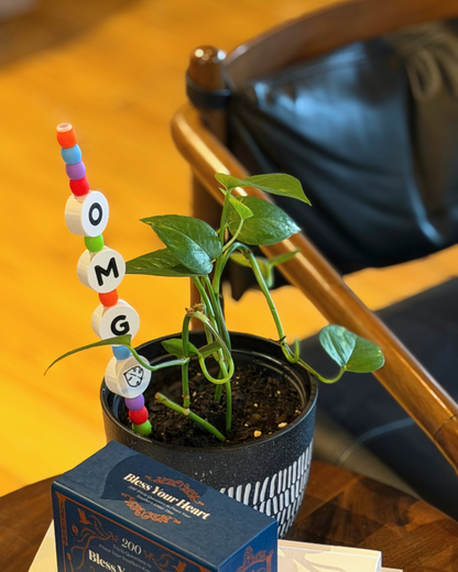 OMG Plant Kandi