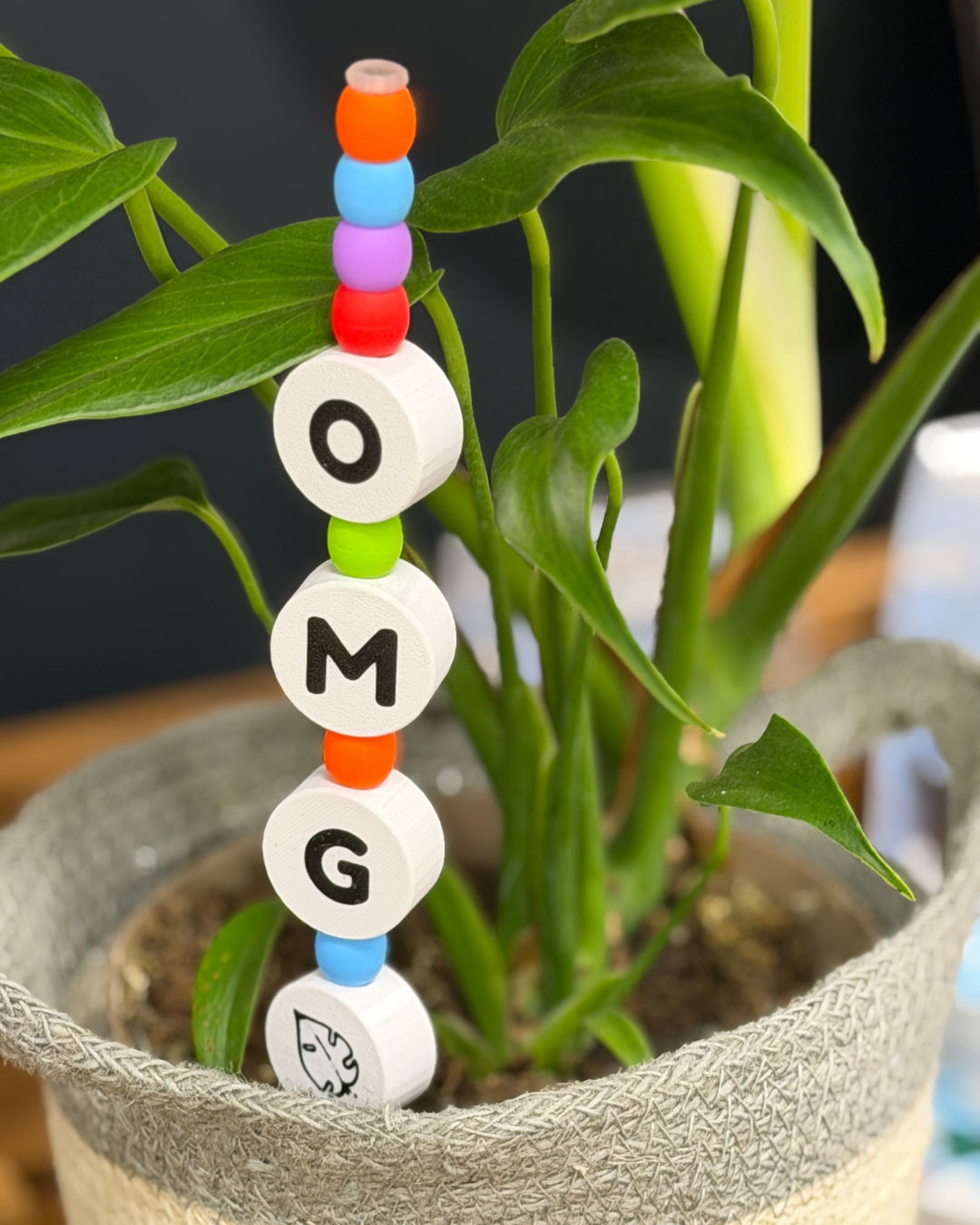 OMG Plant Kandi