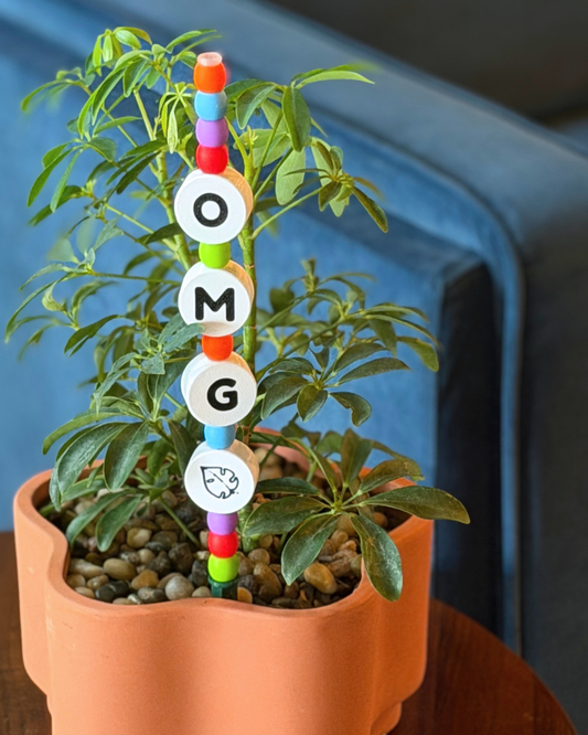 OMG Plant Kandi