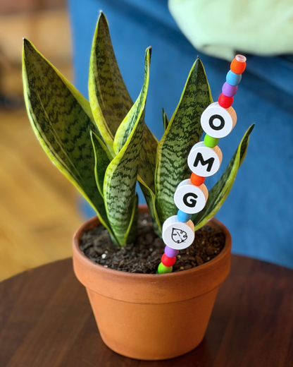 OMG Plant Kandi 4 Count