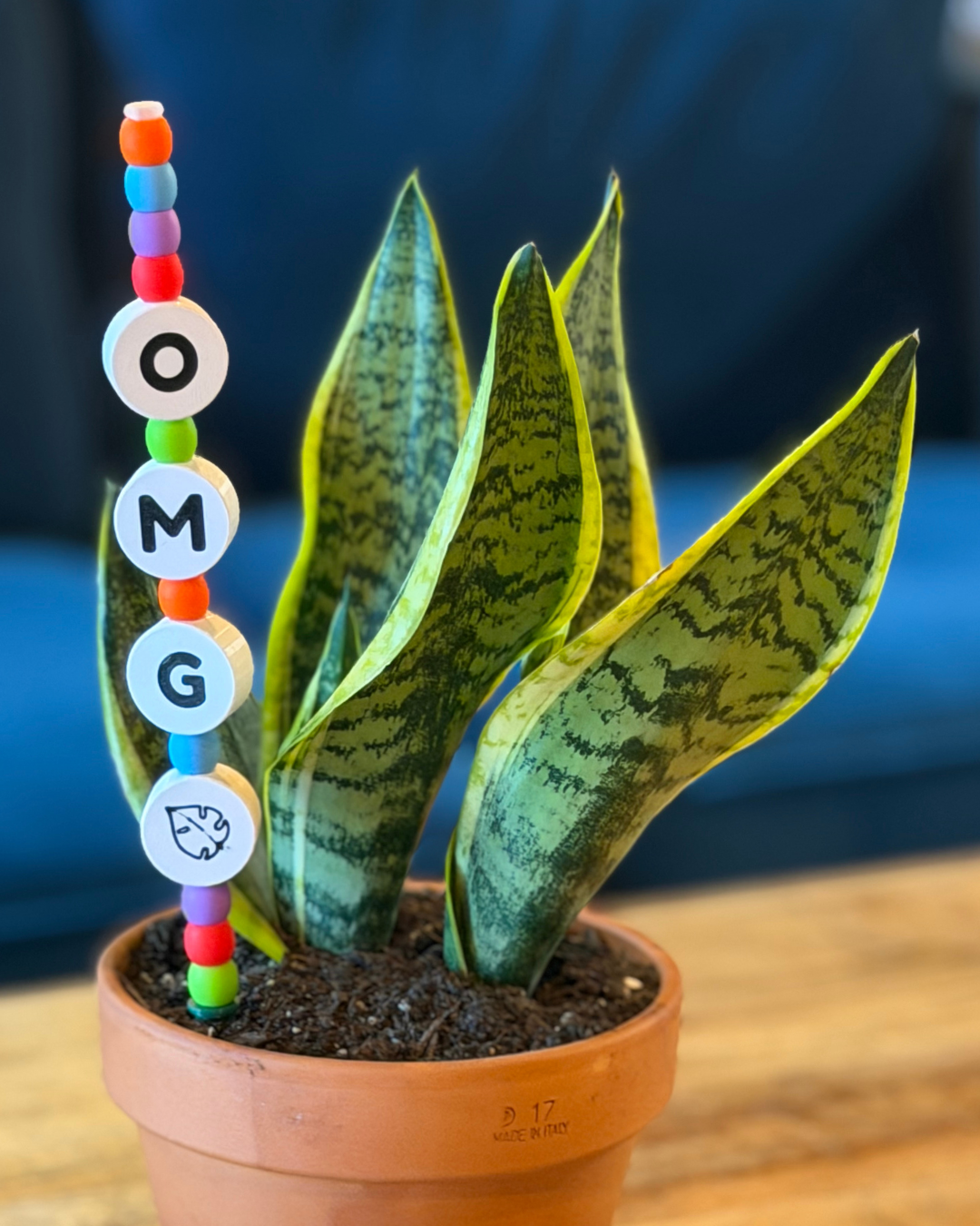 Plant Kandi - Friendship Bracelet inspired plant decor