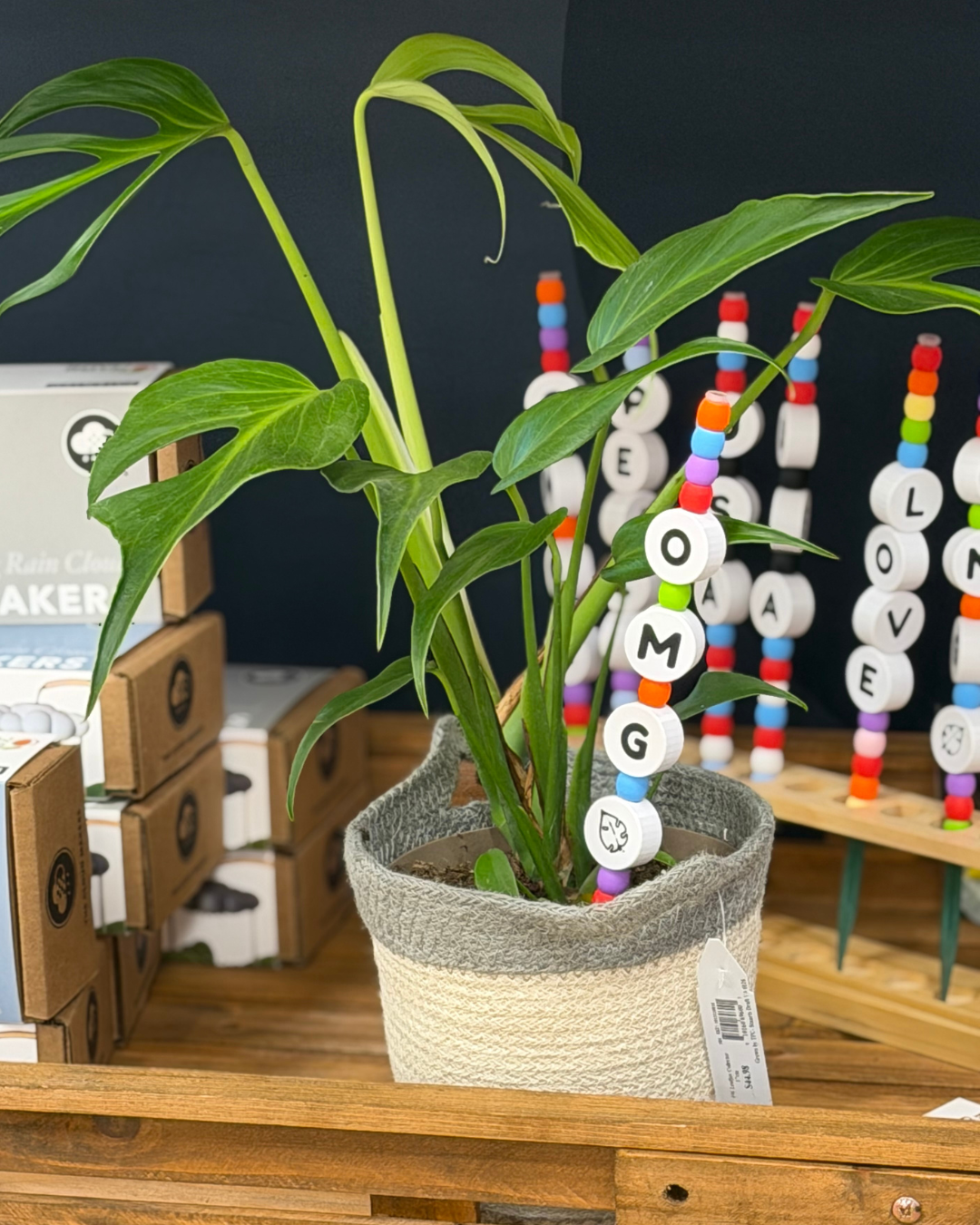 OMG Plant Kandi