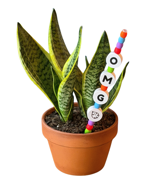 OMG Plant Kandi 4 Count