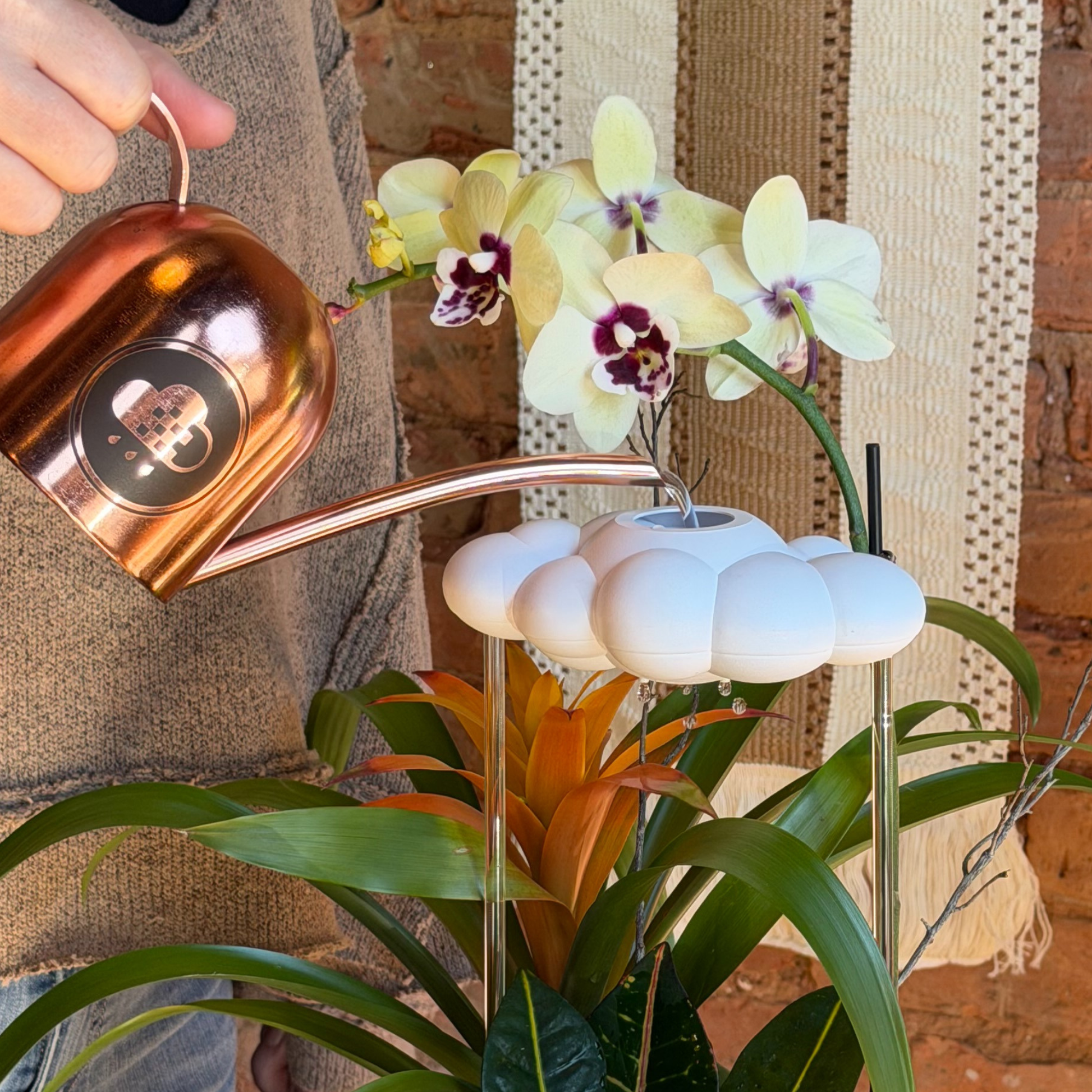 The Original Dripping Rain Cloud