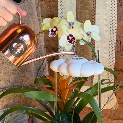 The Original Dripping Rain Cloud