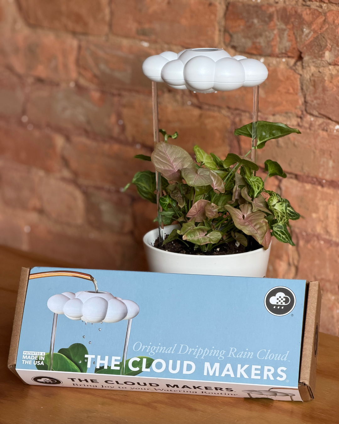 Original Dripping Rain for Retail (Case of 10)