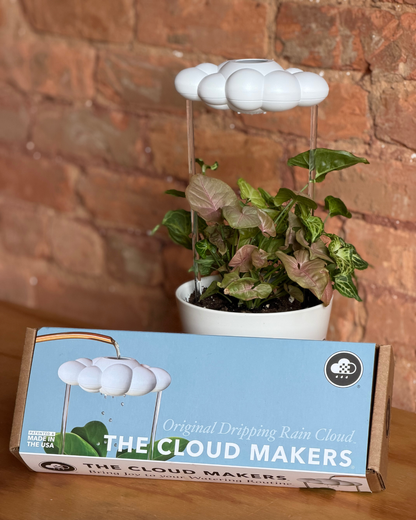 Original Dripping Rain for Retail (Case of 10)