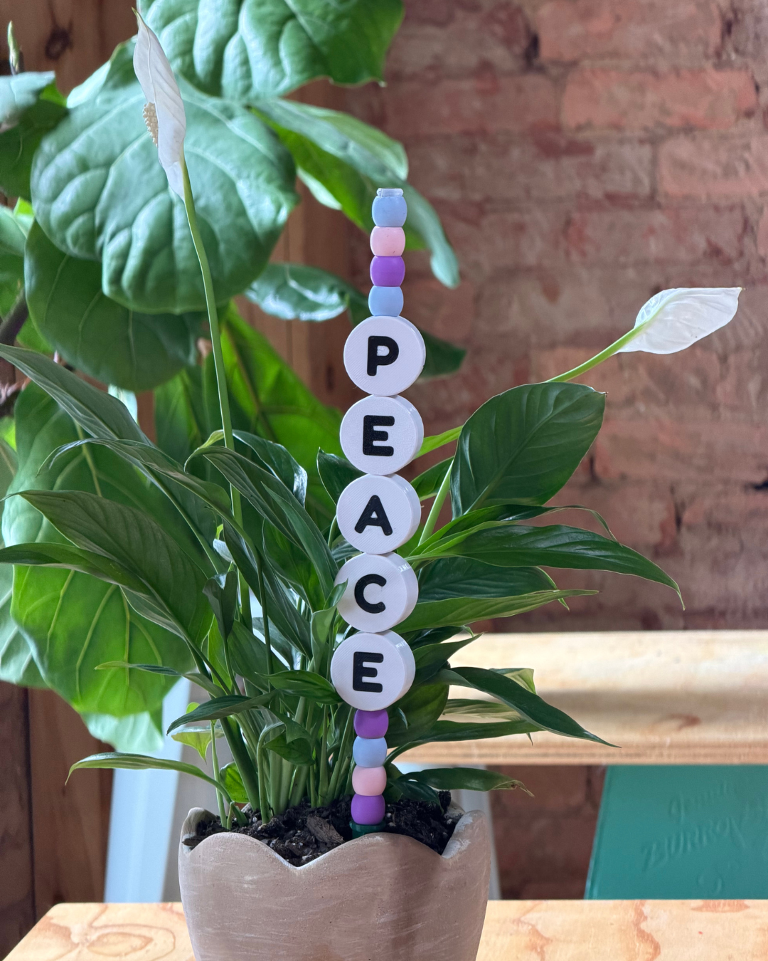 PEACE Plant Kandi