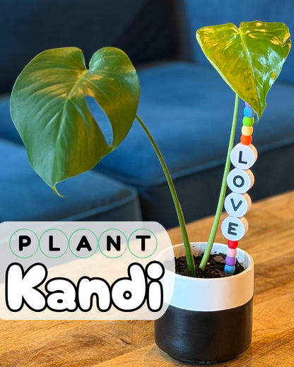 Plant Kandi - Friendship Bracelet inspired plant decor