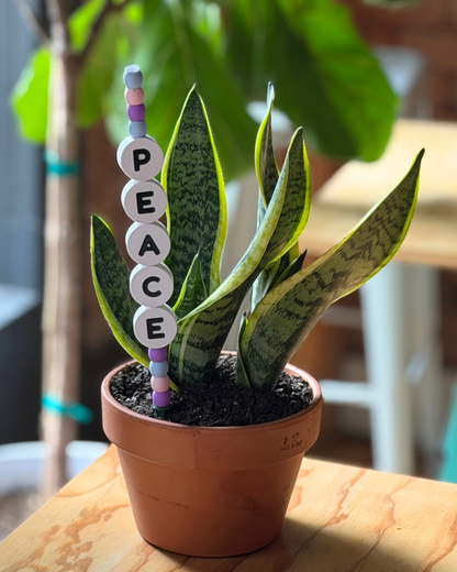 Plant Kandi - Friendship Bracelet inspired plant decor