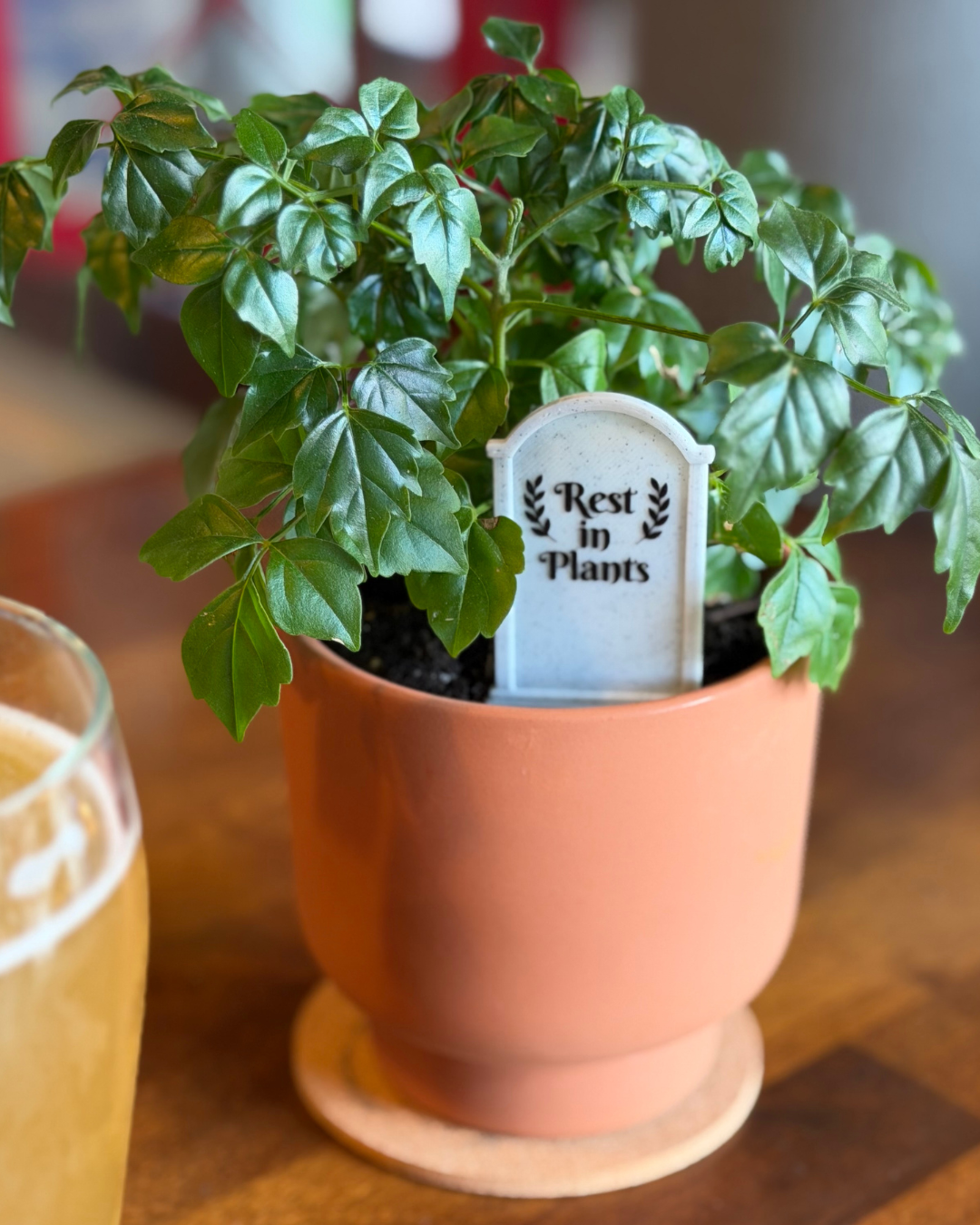 Rest in Plants Plick (5 pack)