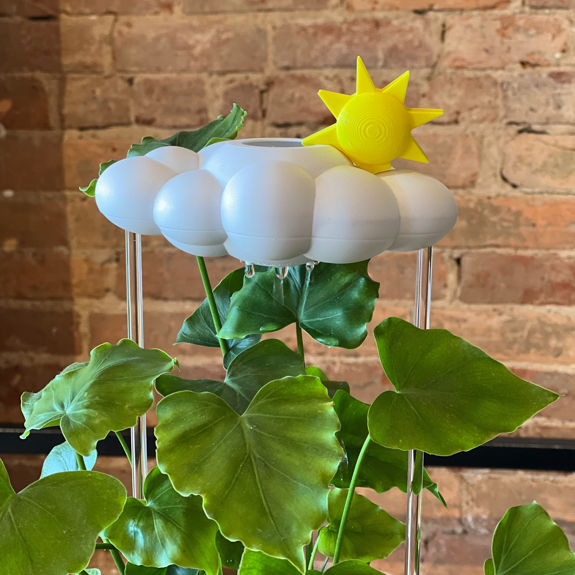 THE CLOUD MAKERS dripping raincloud for plants with sun charm