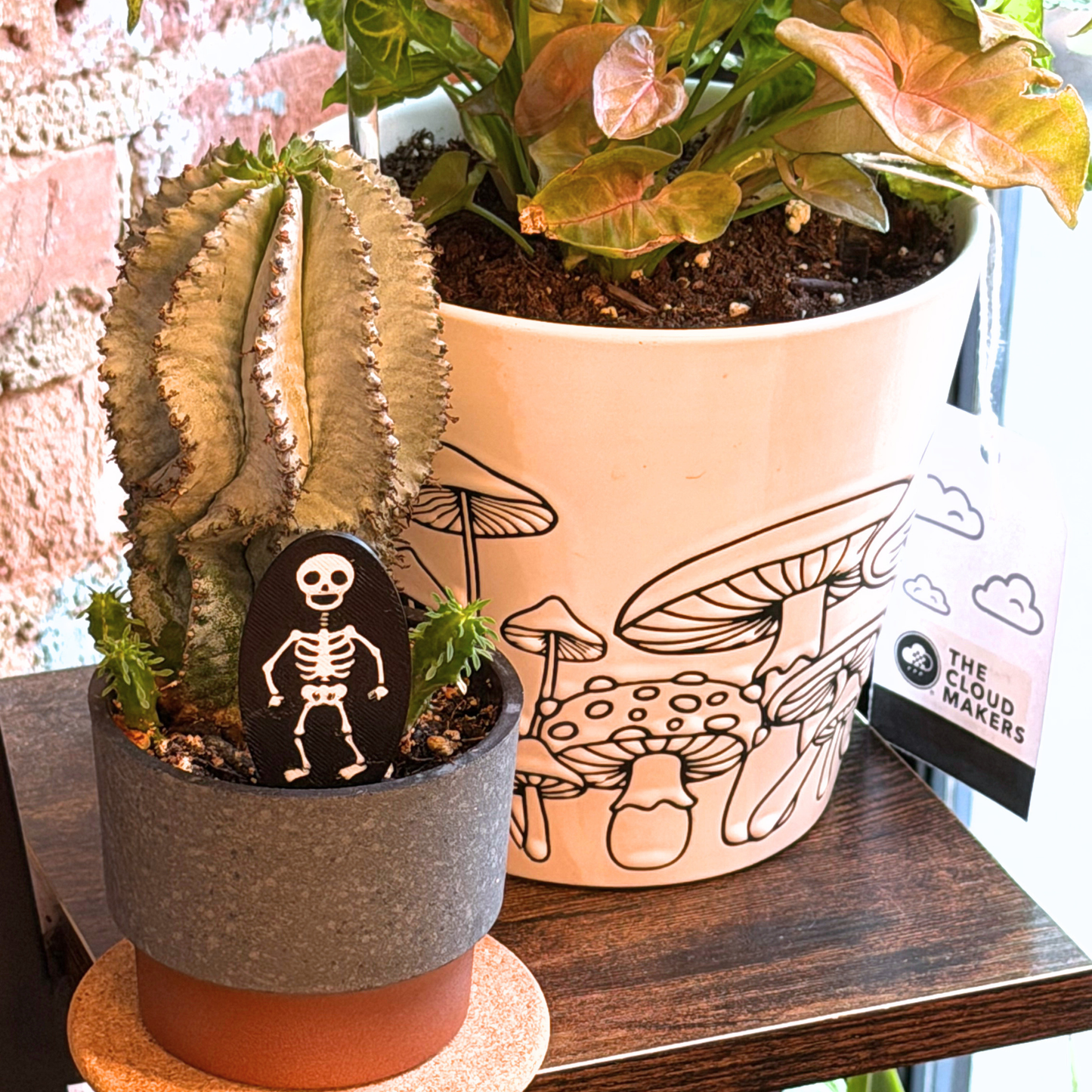 Skeleton Plick