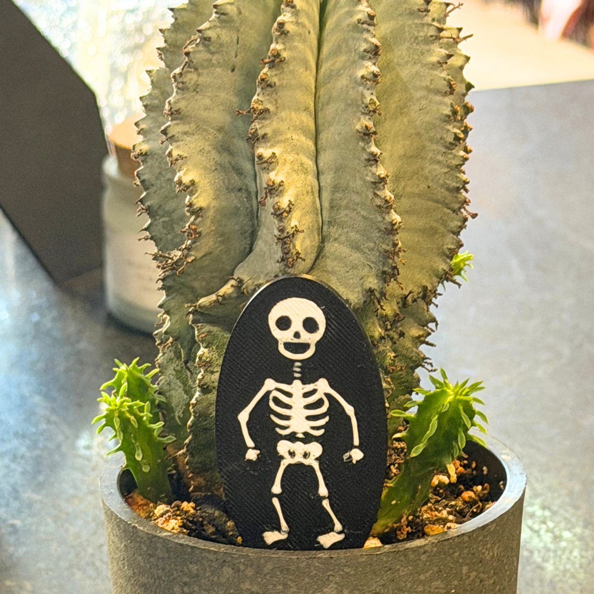 Skeleton Plick