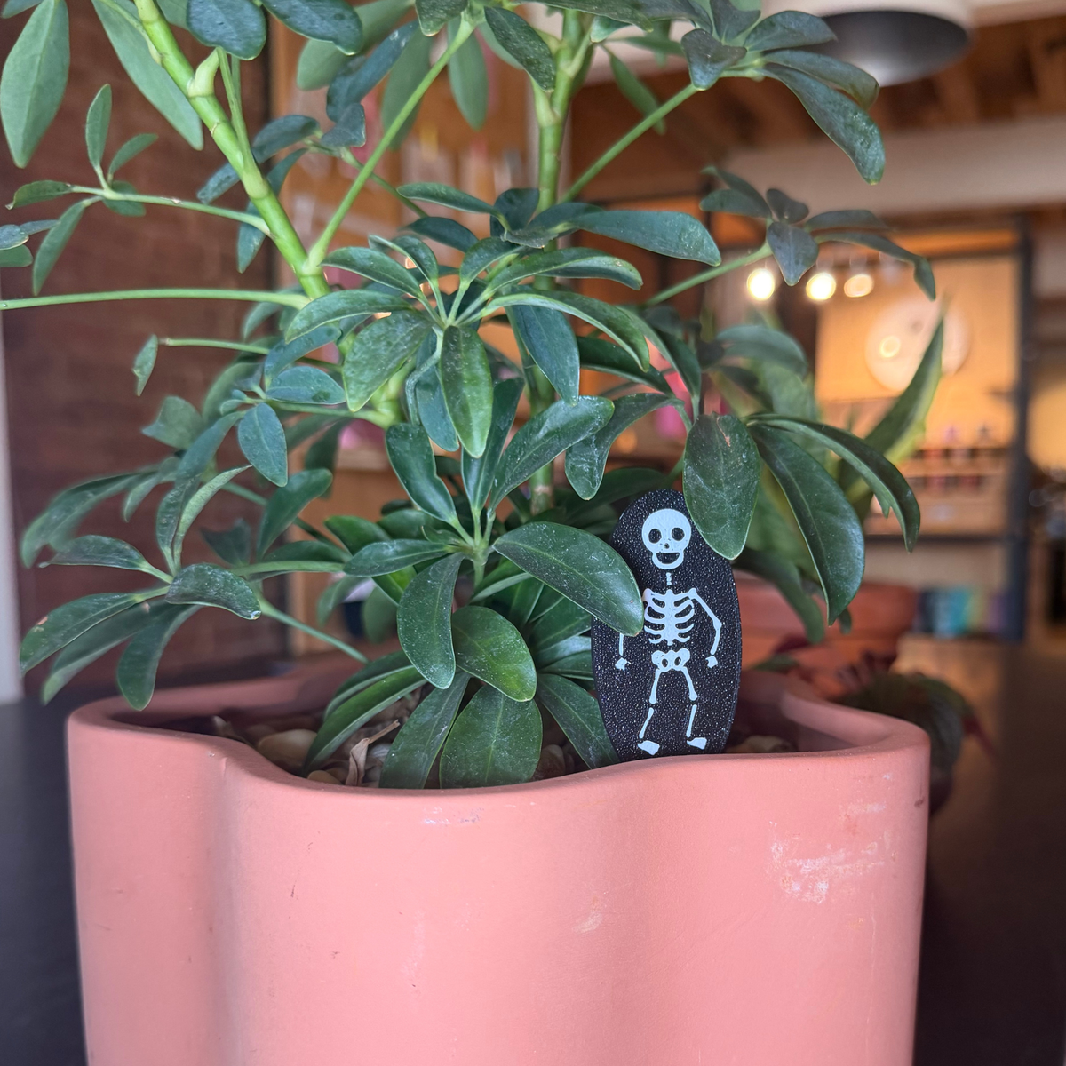 Skeleton Plick