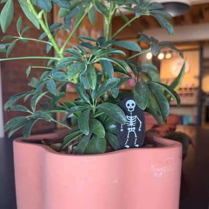 Skeleton Plick
