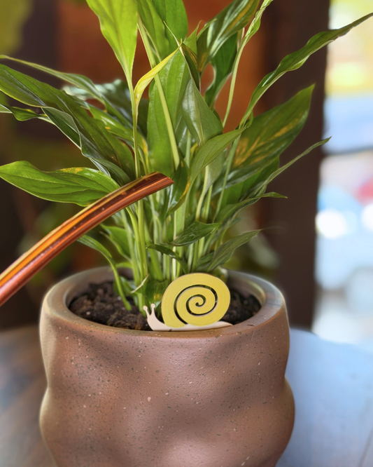 Snail Plick