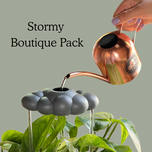 Boutique Pack Stormy