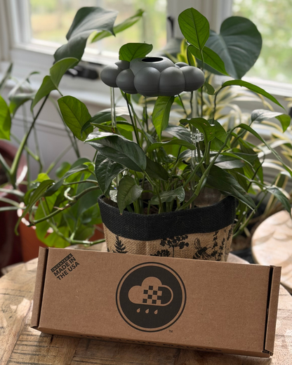 Stormy Dripping Rain Cloud