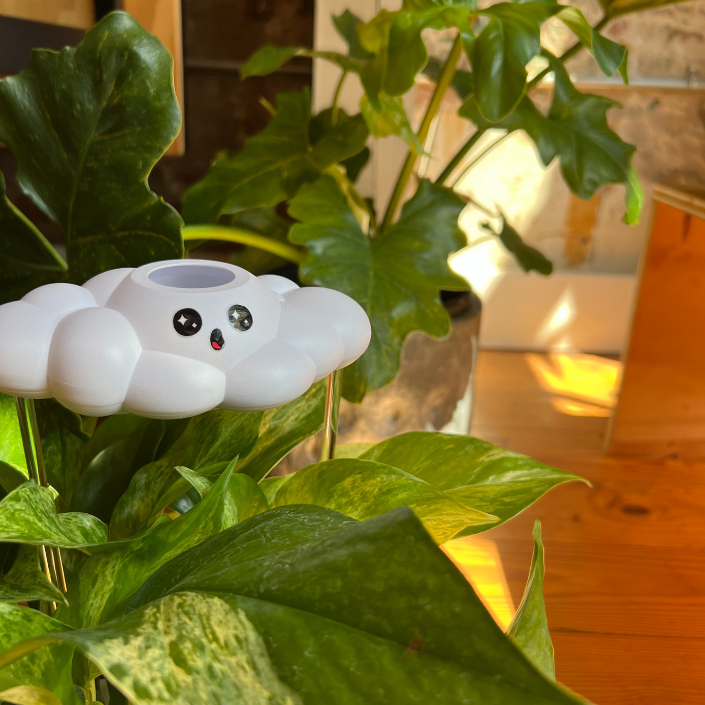 Cosmo the Cloud on a green leafy plant