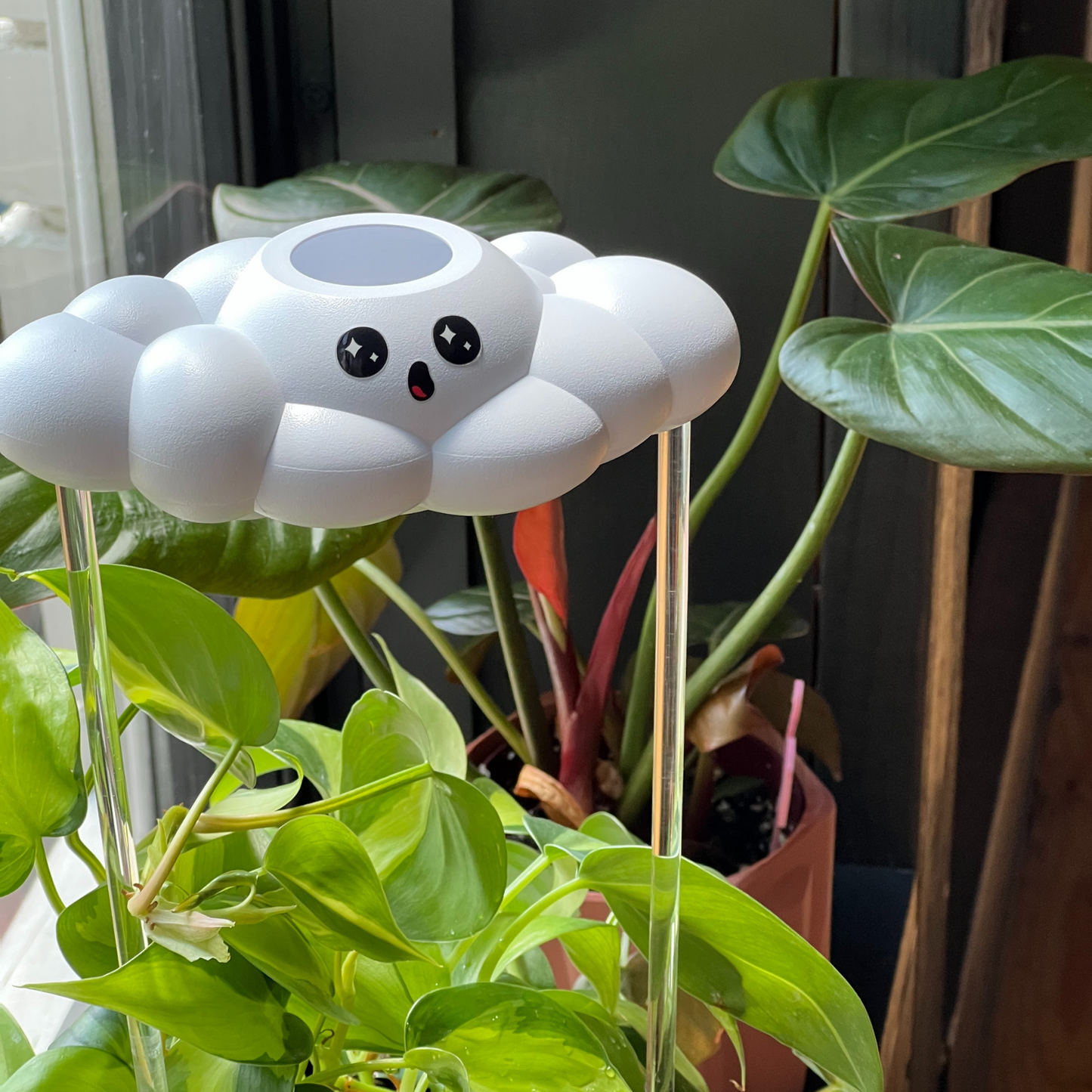 Cosmo the Cloud on top of a plant