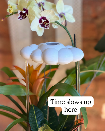 The Original Dripping Rain Cloud in an orchid planter