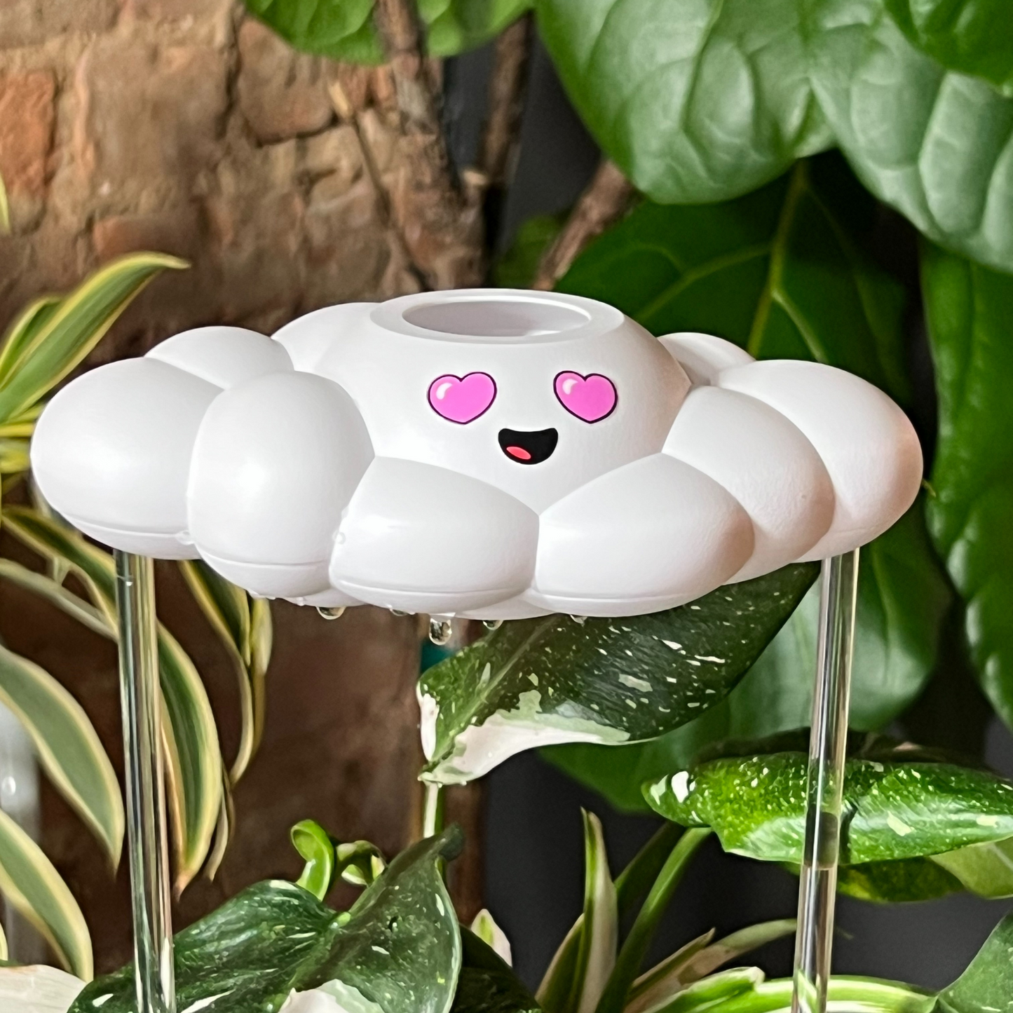 Chloe the Cloud unique plant watering tool