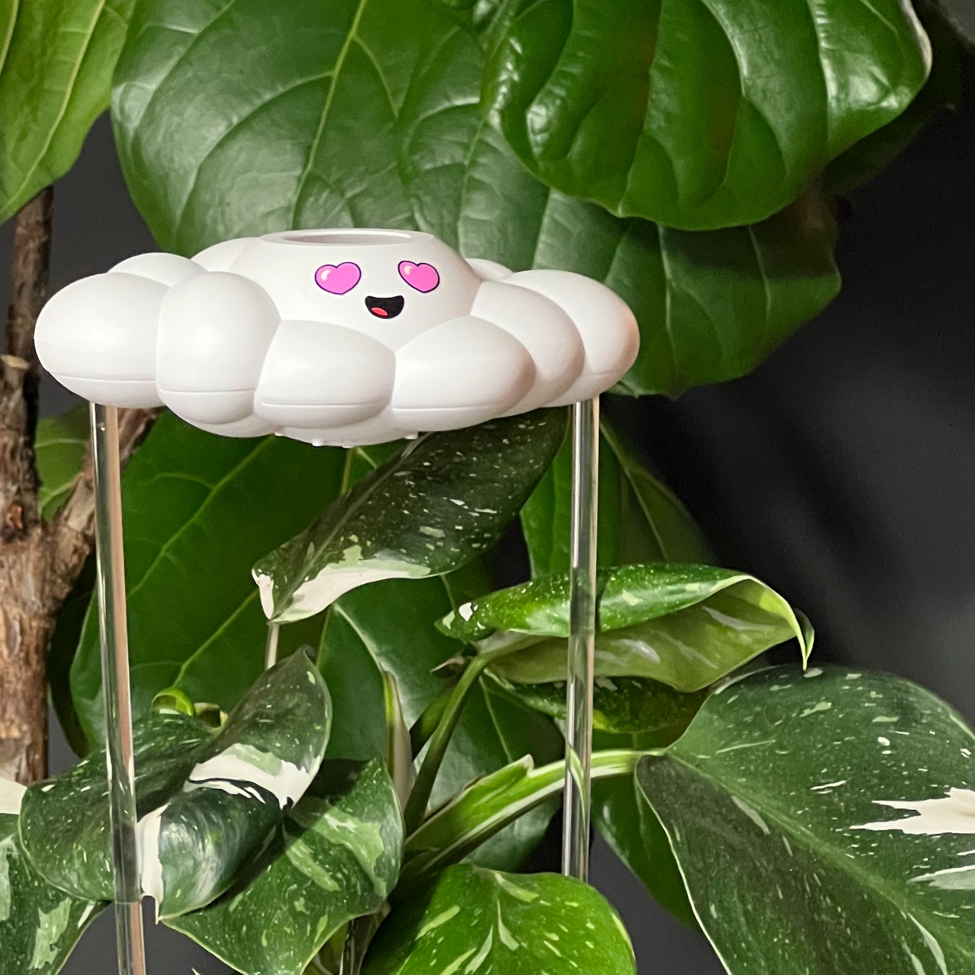 Chloe the Cloud whimsical plant watering tool