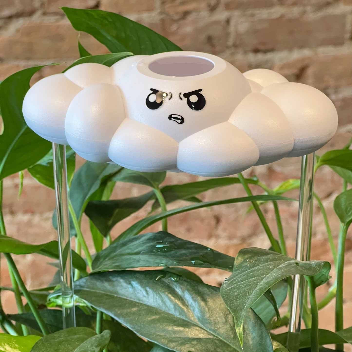 Cliff the Cloud in a plant against a brick wall