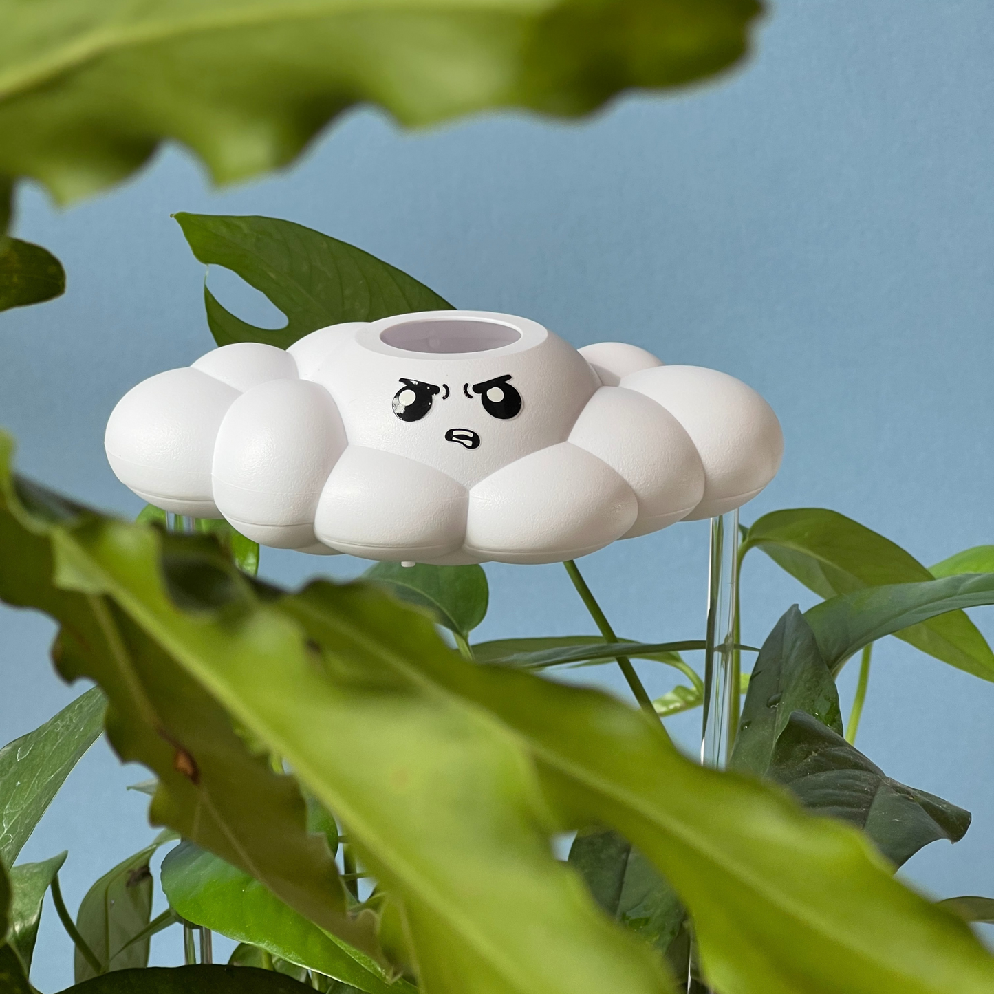 Cliff the Cloud Plant watering tool