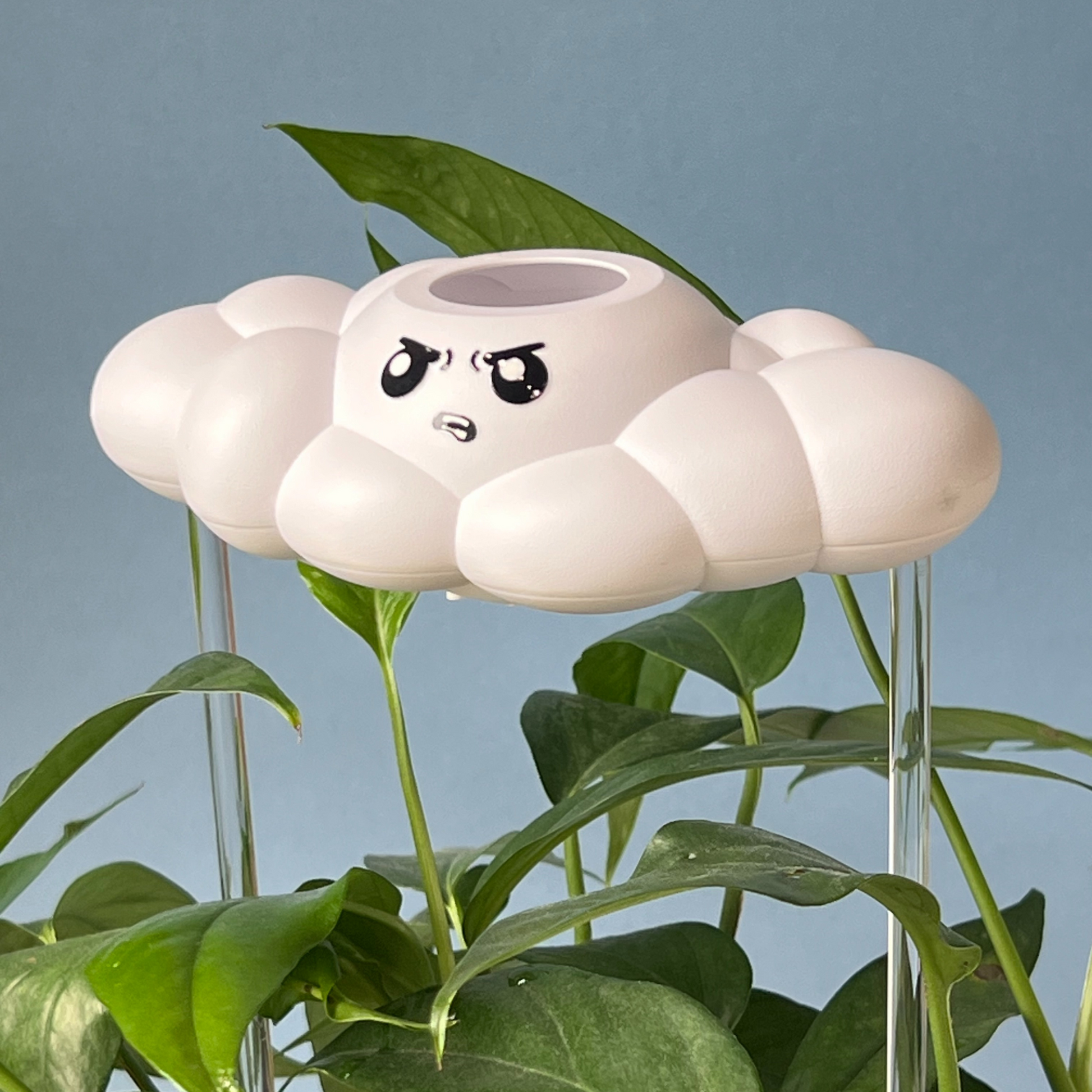 Cliff the Cloud in a plant against a blue background