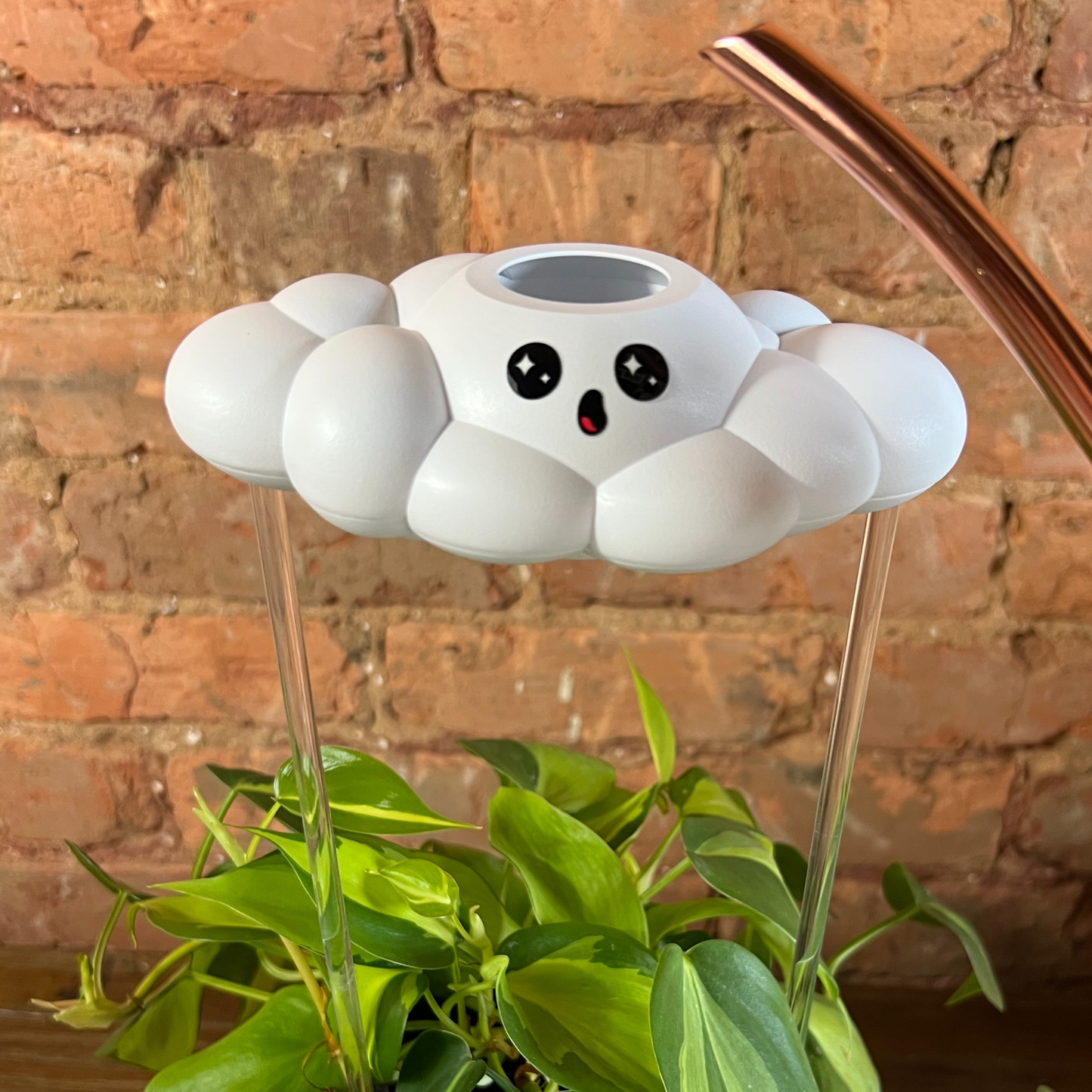 Cosmo the Cloud on top of a plant against a brick wall.