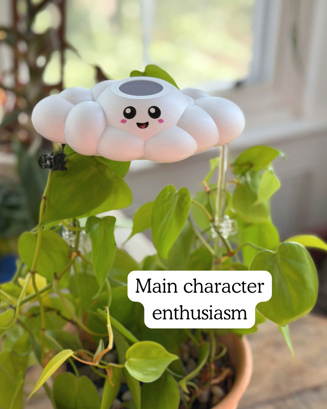 skylar the cloud rain cloud plant waterer