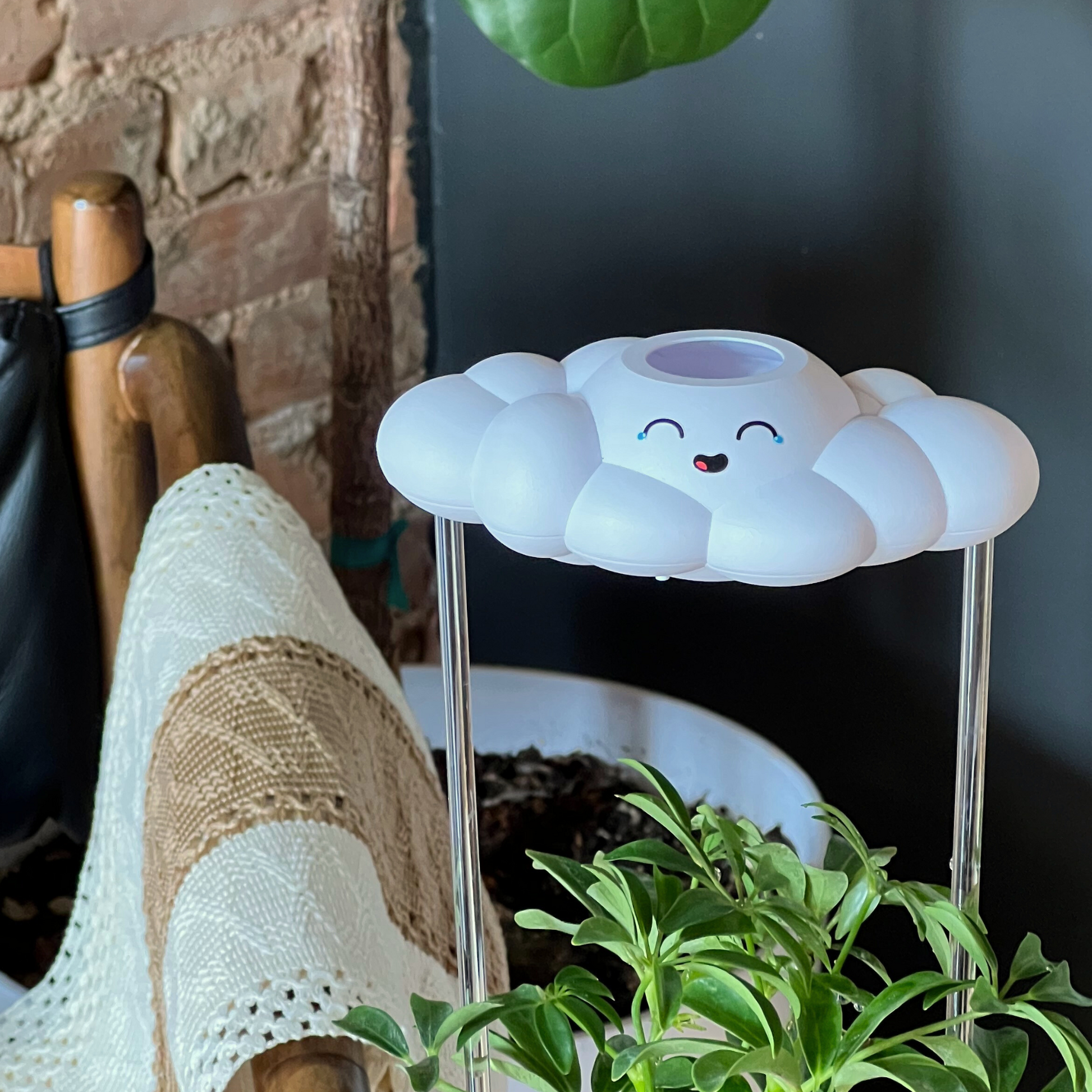 Misty the cloud rain cloud plant waterer