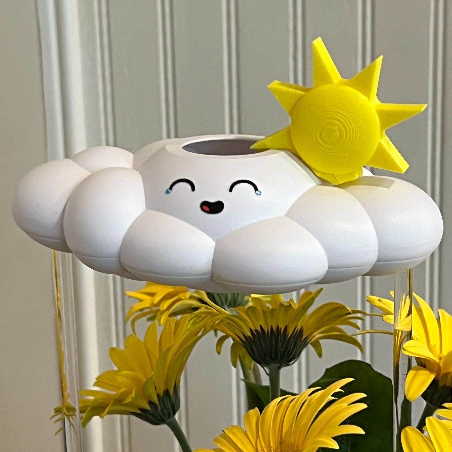 Misty the Cloud rain cloud pant waterer with sun Charm