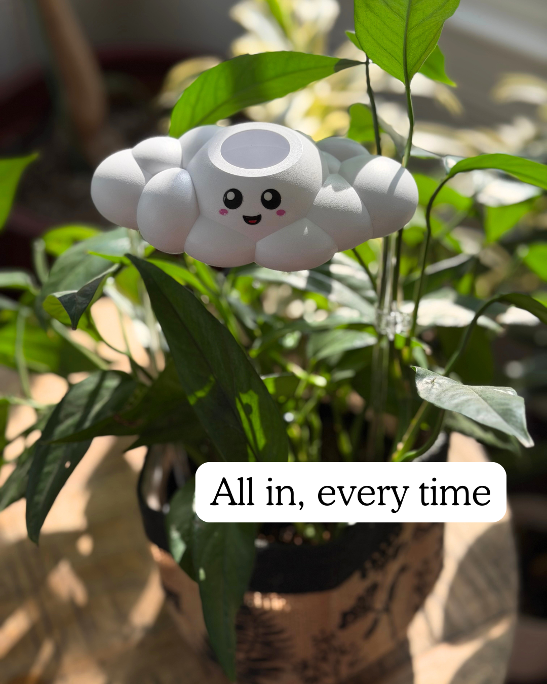 Skylar the Cloud Whimsical Plant Watering Tool