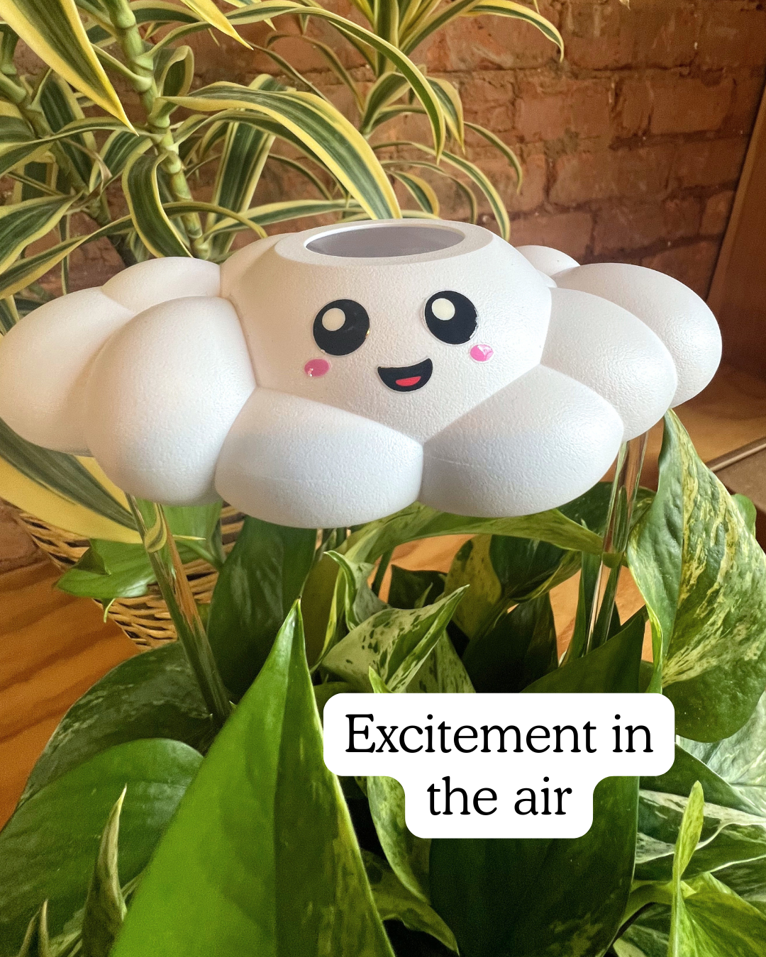 skylar the cloud rain cloud plant waterer