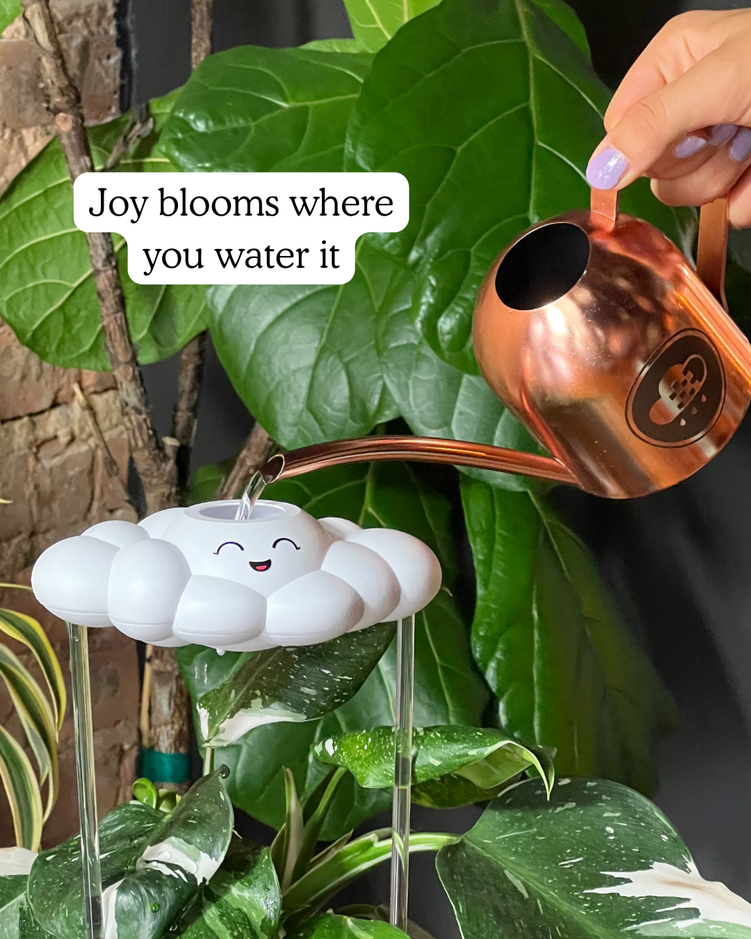 Copper watering can being used on a plant with Chelsea the Cloud.