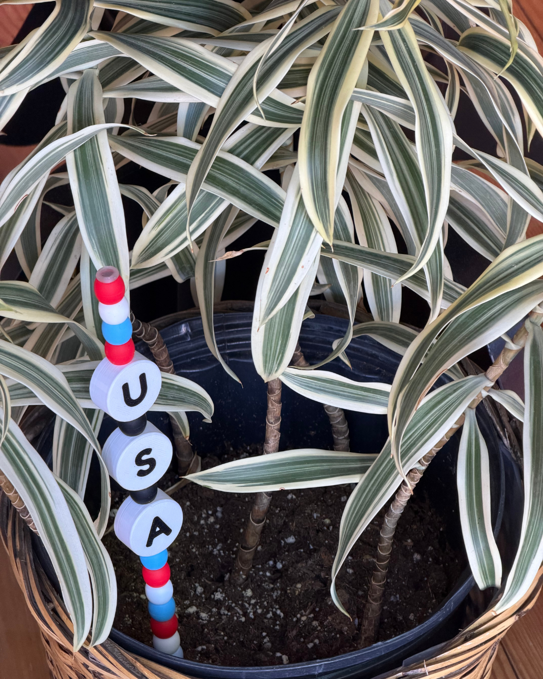 USA Plant Kandi