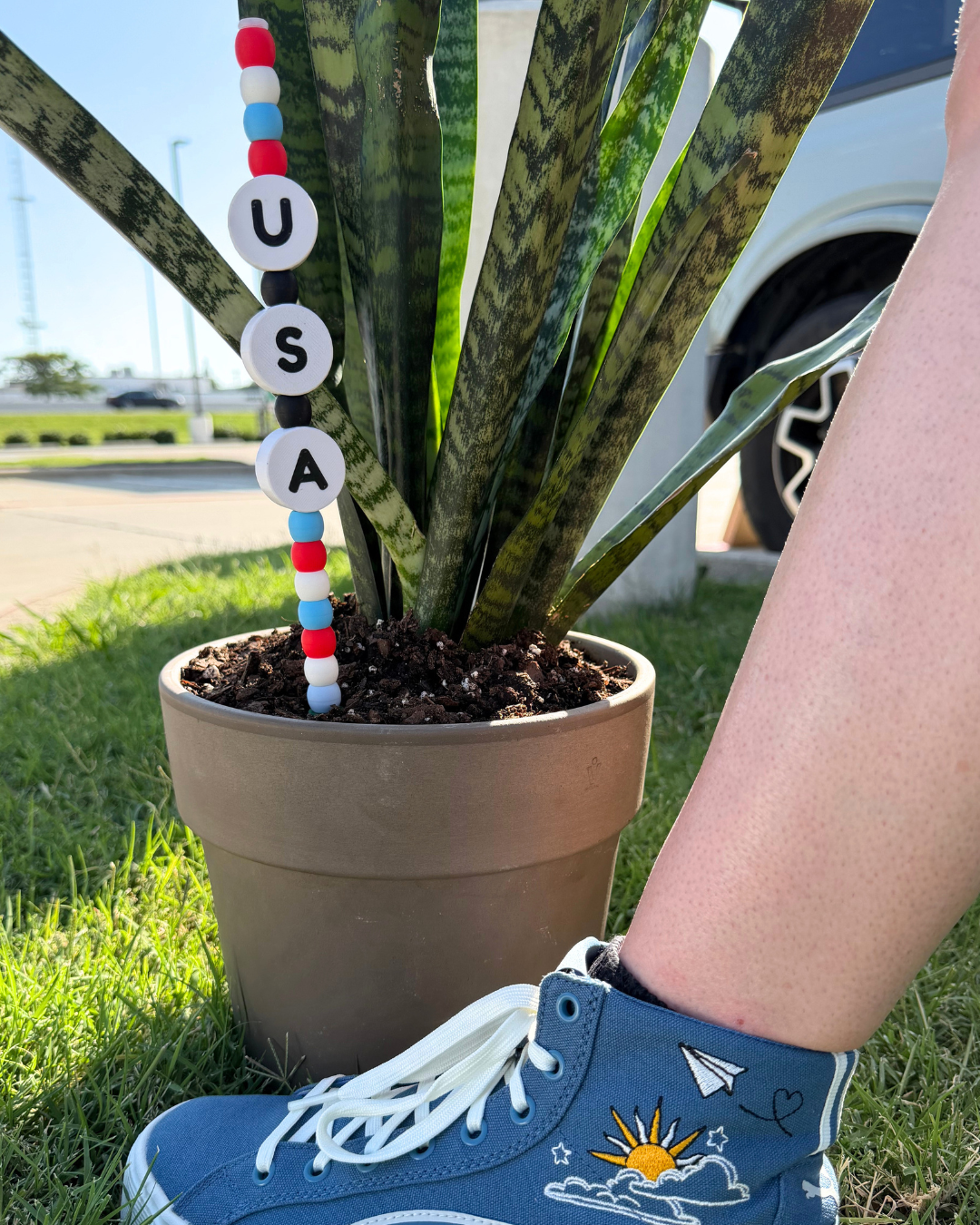 USA Plant Kandi