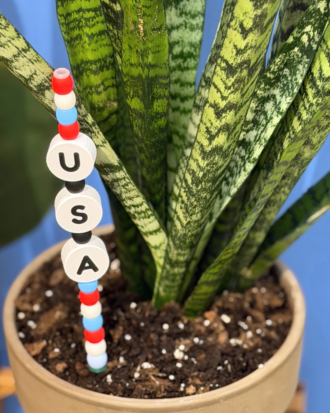 USA Plant Kandi