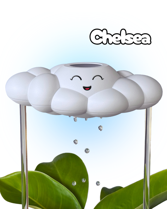 Chelsea the Cloud