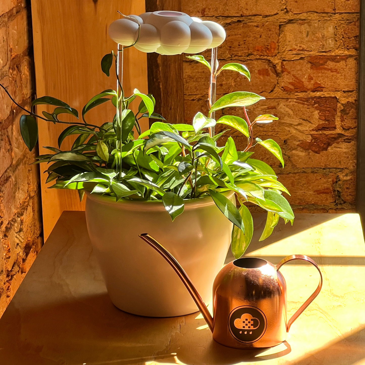 Watering Can (wholesale)