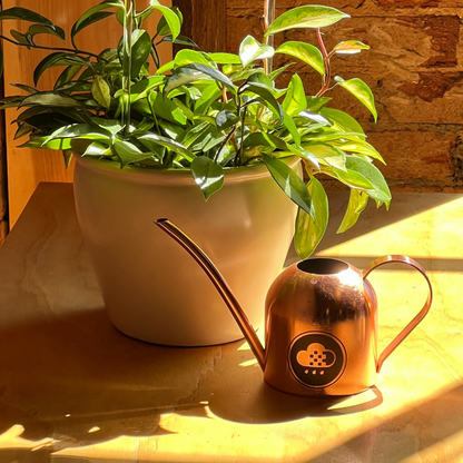 Watering Can (wholesale)