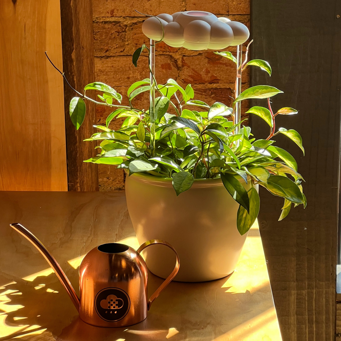 Watering Can (wholesale)