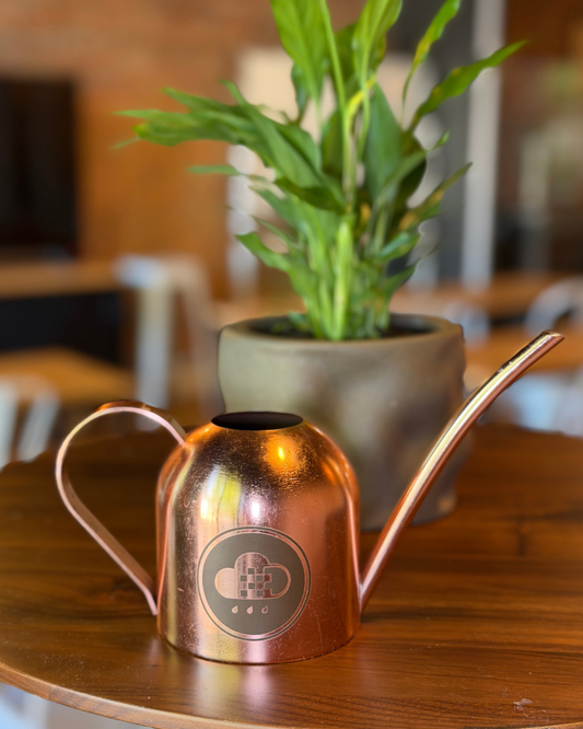 Cloud Makers Copper Watering Can